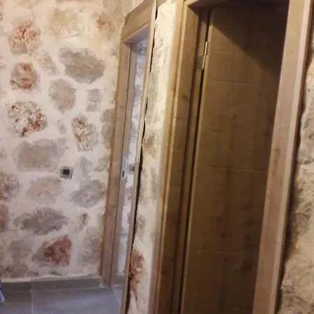 Hotel Tashan Cavdir